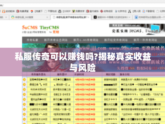 私服传奇可以赚钱吗?揭秘真实收益与风险 私服传奇可以赚钱吗?揭秘真实收益与风险