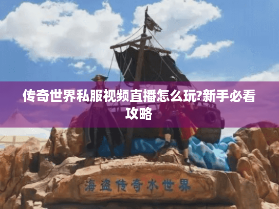 传奇世界私服视频直播怎么玩?新手必看攻略