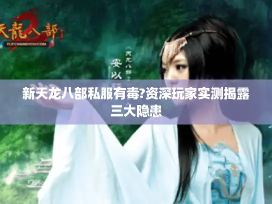 新天龙八部私服有毒?资深玩家实测揭露三大隐患 新天龙八部私服有毒?资深玩家实测揭露三大隐患