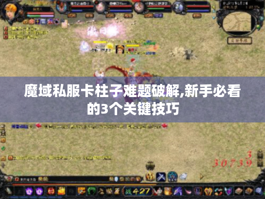 魔域私服卡柱子难题破解,新手必看的3个关键技巧 魔域私服卡柱子难题破解,新手必看的3个关键技巧