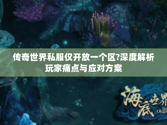 传奇世界私服仅开放一个区?深度解析玩家痛点与应对方案