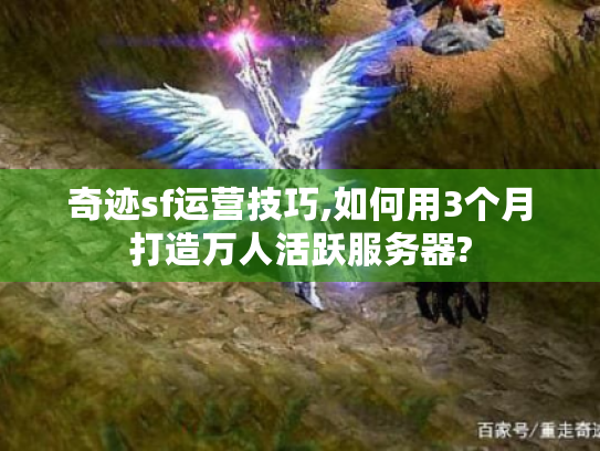 奇迹sf运营技巧,如何用3个月打造万人活跃服务器? 奇迹sf运营技巧,如何用3个月打造万人活跃服务器?