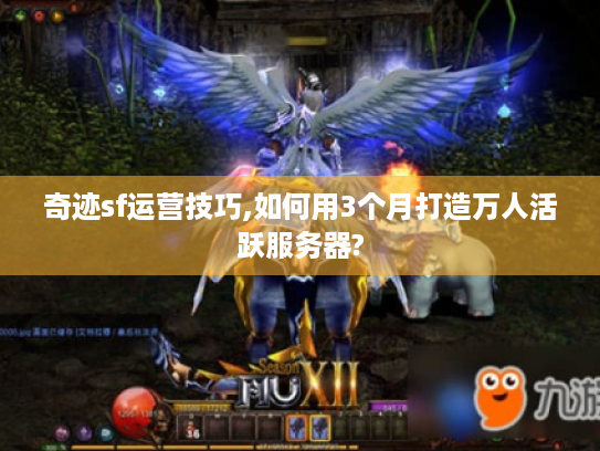 奇迹sf运营技巧,如何用3个月打造万人活跃服务器? 奇迹sf运营技巧,如何用3个月打造万人活跃服务器?