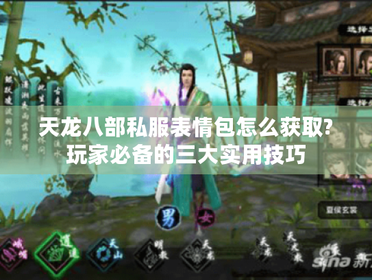 天龙八部私服表情包怎么获取?玩家必备的三大实用技巧 天龙八部私服表情包怎么获取?玩家必备的三大实用技巧