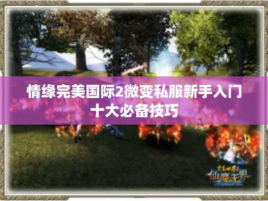 情缘完美国际2微变私服新手入门十大必备技巧