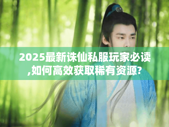 2025最新诛仙私服玩家必读,如何高效获取稀有资源?