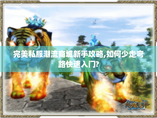 完美私服潮流商城新手攻略,如何少走弯路快速入门?