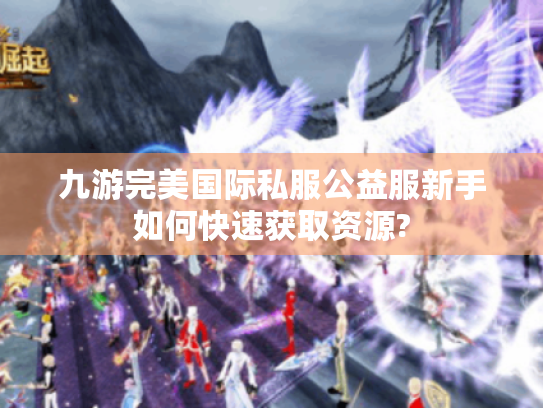 九游完美国际私服公益服新手如何快速获取资源?