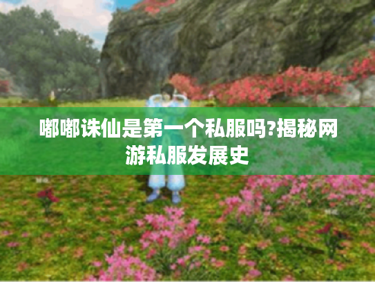 嘟嘟诛仙是第一个私服吗?揭秘网游私服发展史