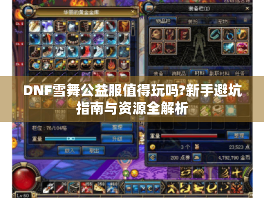 DNF雪舞公益服值得玩吗?新手避坑指南与资源全解析