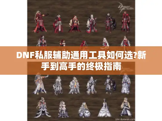 DNF私服辅助通用工具如何选?新手到高手的终极指南