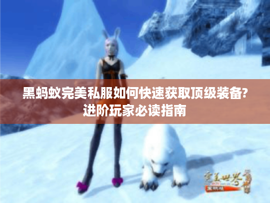 黑蚂蚁完美私服如何快速获取顶级装备?进阶玩家必读指南