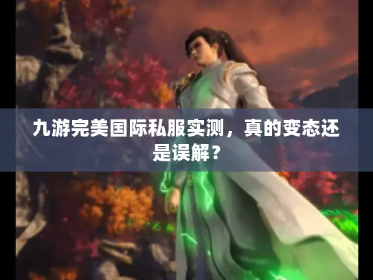 九游完美国际私服实测，真的变态还是误解？