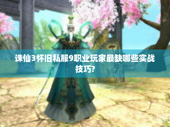 诛仙3怀旧私服9职业玩家最缺哪些实战技巧?