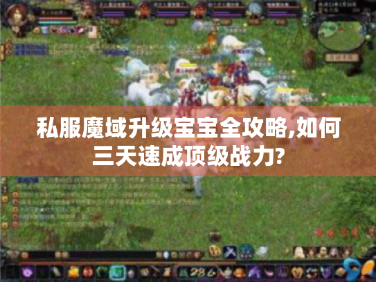 私服魔域升级宝宝全攻略,如何三天速成顶级战力? 私服魔域升级宝宝全攻略,如何三天速成顶级战力?
