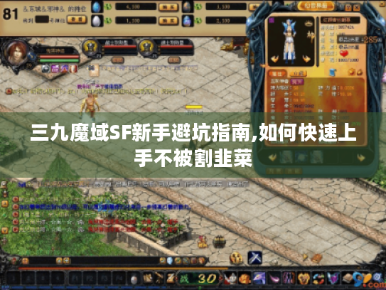 三九魔域SF新手避坑指南,如何快速上手不被割韭菜