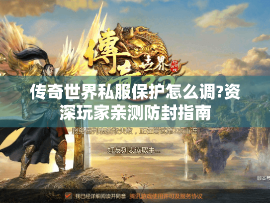 传奇世界私服保护怎么调?资深玩家亲测防封指南