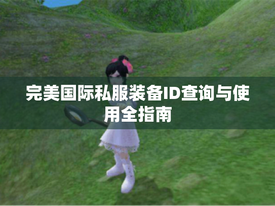 完美国际私服装备ID查询与使用全指南