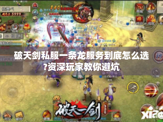 破天剑私服一条龙服务到底怎么选?资深玩家教你避坑 破天剑私服一条龙服务到底怎么选?资深玩家教你避坑