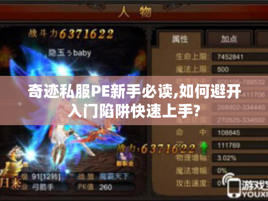 奇迹私服PE新手必读,如何避开入门陷阱快速上手?
