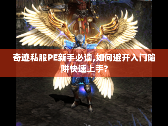 奇迹私服PE新手必读,如何避开入门陷阱快速上手?