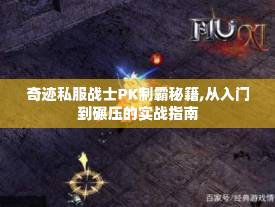 奇迹私服战士PK制霸秘籍,从入门到碾压的实战指南 奇迹私服战士PK制霸秘籍,从入门到碾压的实战指南