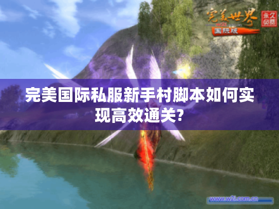 完美国际私服新手村脚本如何实现高效通关?