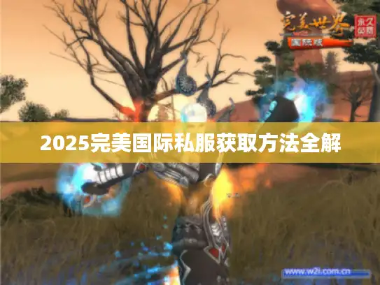 2025完美国际私服获取方法全解 2025完美国际私服获取方法全解