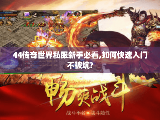 44传奇世界私服新手必看,如何快速入门不被坑?