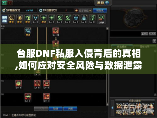 台服DNF私服入侵背后的真相,如何应对安全风险与数据泄露 台服DNF私服入侵背后的真相,如何应对安全风险与数据泄露