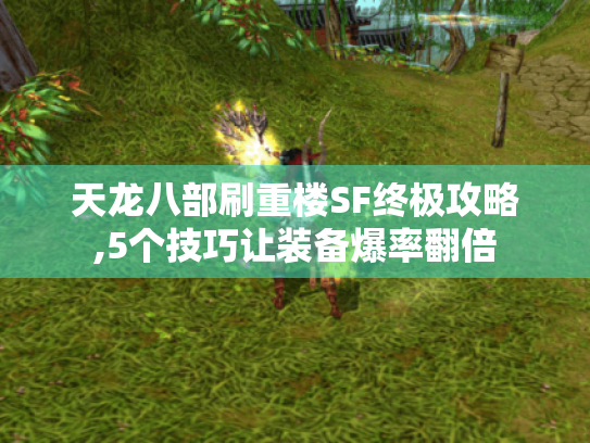 天龙八部刷重楼SF终极攻略,5个技巧让装备爆率翻倍 天龙八部刷重楼SF终极攻略,5个技巧让装备爆率翻倍