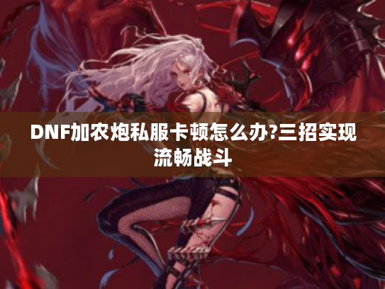 DNF加农炮私服卡顿怎么办?三招实现流畅战斗 DNF加农炮私服卡顿怎么办?三招实现流畅战斗