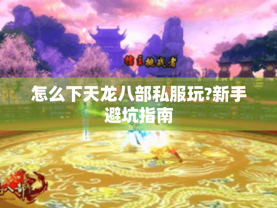 怎么下天龙八部私服玩?新手避坑指南 怎么下天龙八部私服玩?新手避坑指南