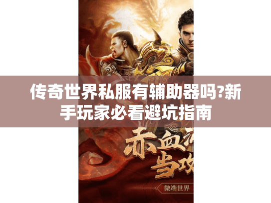 传奇世界私服有辅助器吗?新手玩家必看避坑指南