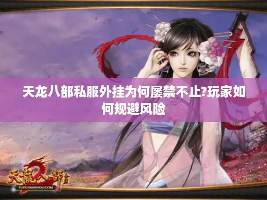 天龙八部私服外挂为何屡禁不止?玩家如何规避风险