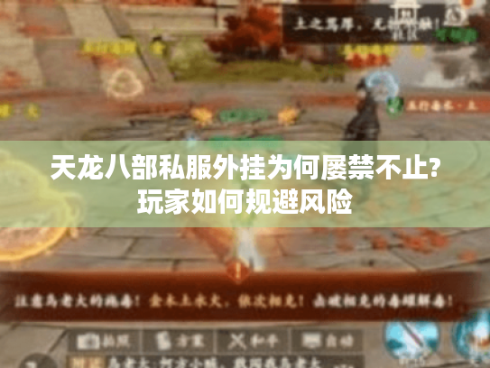 天龙八部私服外挂为何屡禁不止?玩家如何规避风险 天龙八部私服外挂为何屡禁不止?玩家如何规避风险
