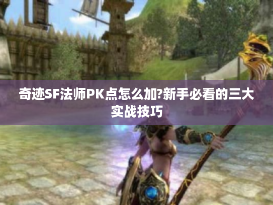 奇迹SF法师PK点怎么加?新手必看的三大实战技巧