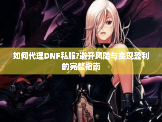 如何代理DNF私服?避开风险与实现盈利的完整指南