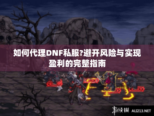 如何代理DNF私服?避开风险与实现盈利的完整指南