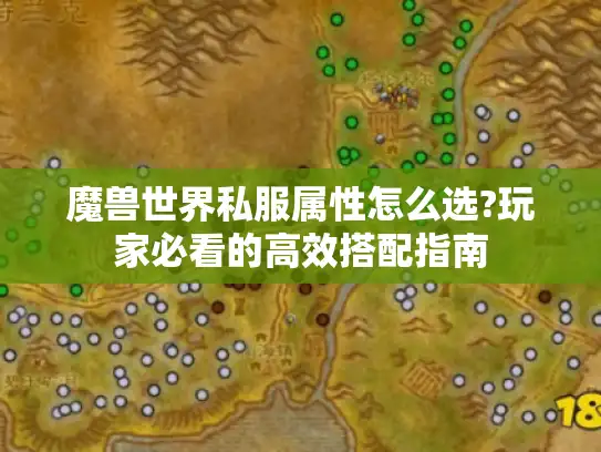 魔兽世界私服属性怎么选?玩家必看的高效搭配指南