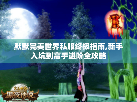 默默完美世界私服终极指南,新手入坑到高手进阶全攻略 默默完美世界私服终极指南,新手入坑到高手进阶全攻略