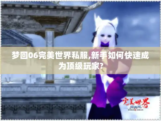 梦回06完美世界私服,新手如何快速成为顶级玩家?