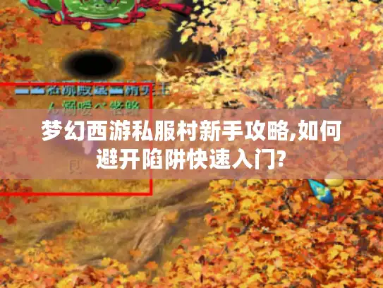 梦幻西游私服村新手攻略,如何避开陷阱快速入门?