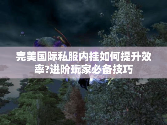 完美国际私服内挂如何提升效率?进阶玩家必备技巧 完美国际私服内挂如何提升效率?进阶玩家必备技巧