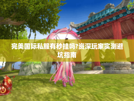 完美国际私服有秒挂吗?资深玩家实测避坑指南 完美国际私服有秒挂吗?资深玩家实测避坑指南