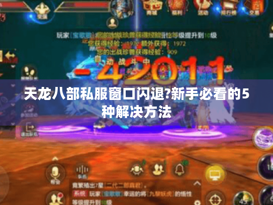 天龙八部私服窗口闪退?新手必看的5种解决方法 天龙八部私服窗口闪退?新手必看的5种解决方法