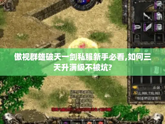傲视群雄破天一剑私服新手必看,如何三天升满级不被坑? 傲视群雄破天一剑私服新手必看,如何三天升满级不被坑?