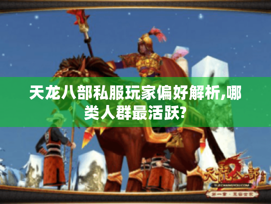 天龙八部私服玩家偏好解析,哪类人群最活跃? 天龙八部私服玩家偏好解析,哪类人群最活跃?