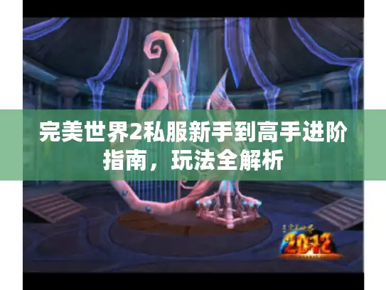 完美世界2私服新手到高手进阶指南，玩法全解析