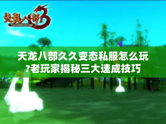 天龙八部久久变态私服怎么玩?老玩家揭秘三大速成技巧